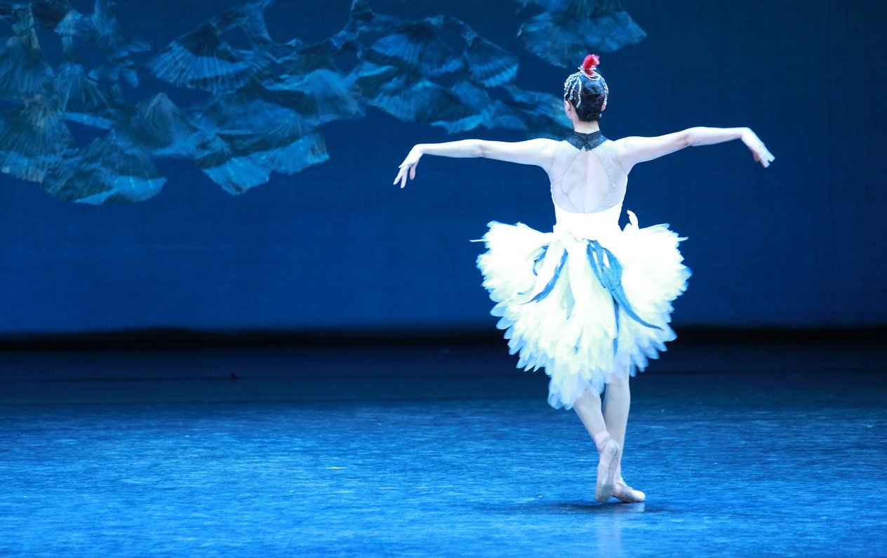 Ballet Symphonies Concert Halls Opera Houses | Fundraising | Nonprofits